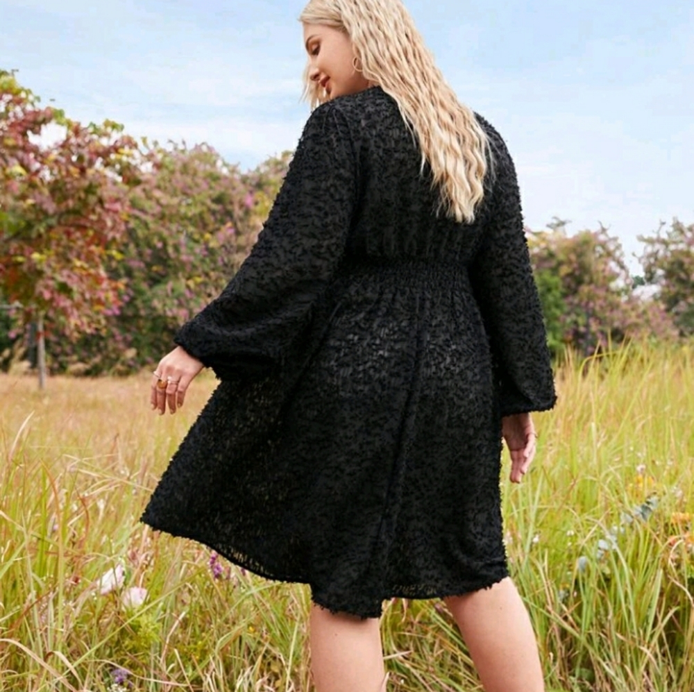 NEW Plus Black Dress - Picture 2 of 8